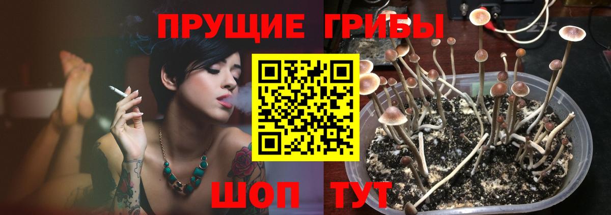 Котельники  Галлюциногенные грибы прущие грибы  как найти закладки  Вход с VPN 